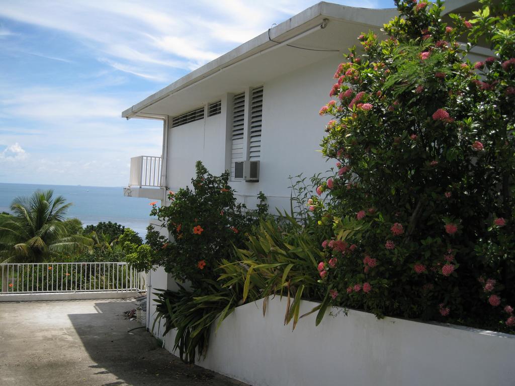 Homestay A Seascape Guest