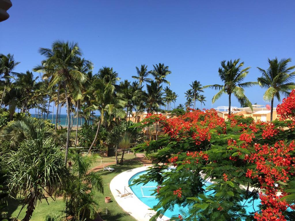 Don Cesar Las Terrenas