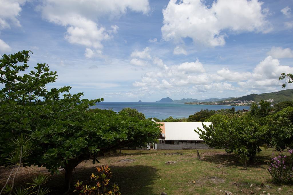 Edasama