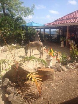 Petite Anse Sauteurs