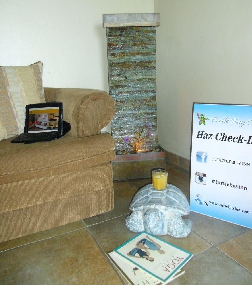 Bed & Breakfast Turtle Bay