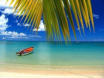 Coconut Court