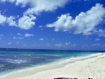Hotel Silver Point 4*
