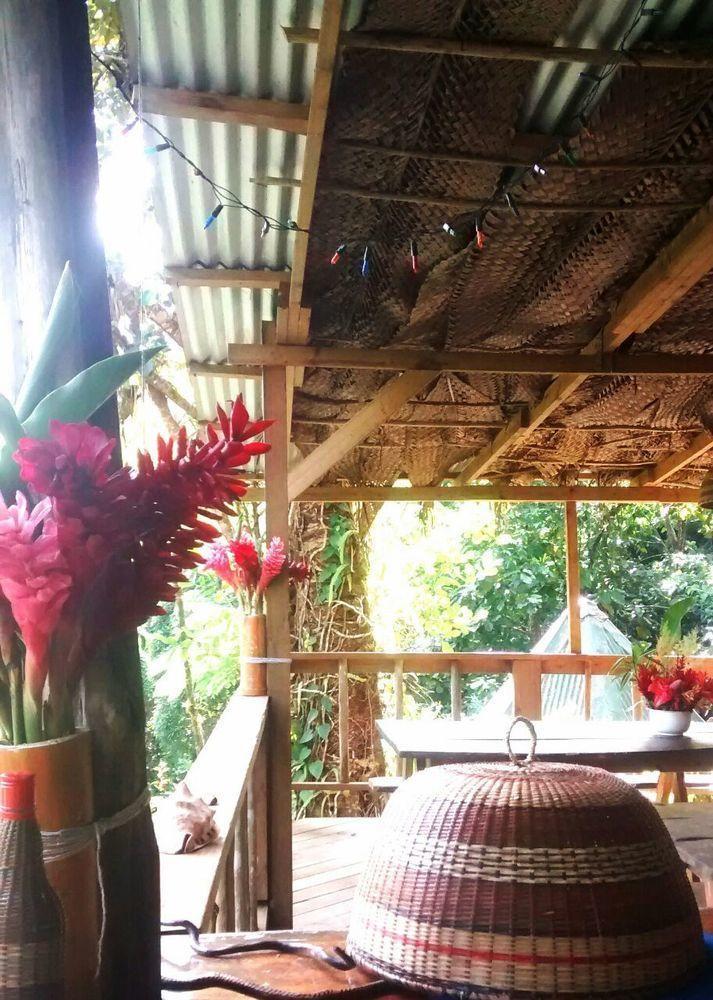 Roots Jungle Retreat *