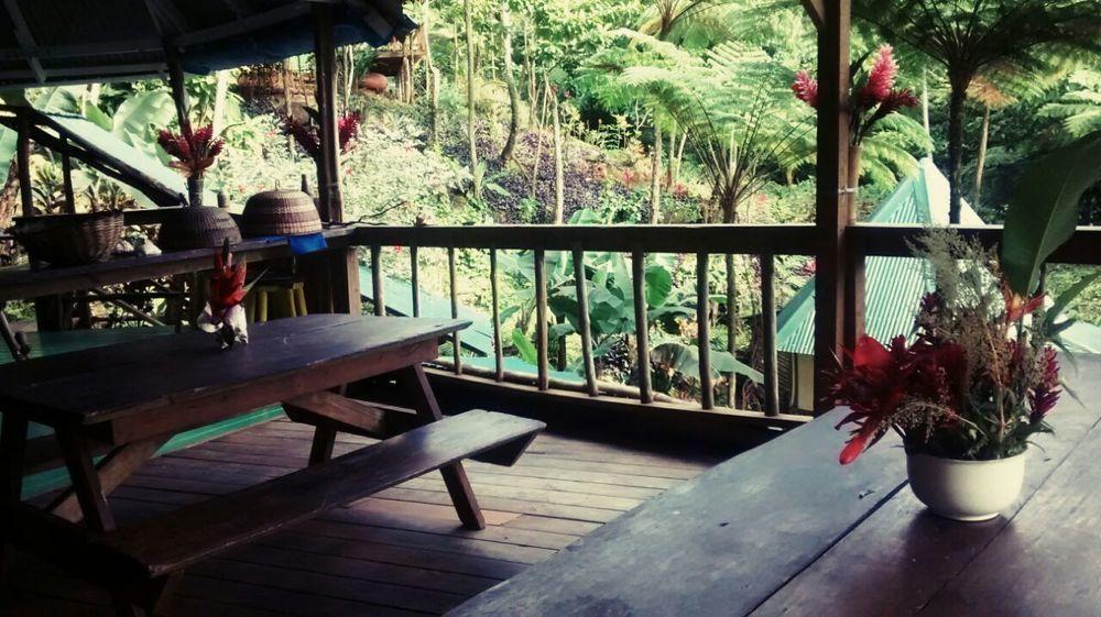 Roots Jungle Retreat Lodge Marigot