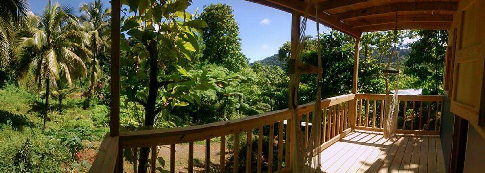 Roots Jungle Retreat *