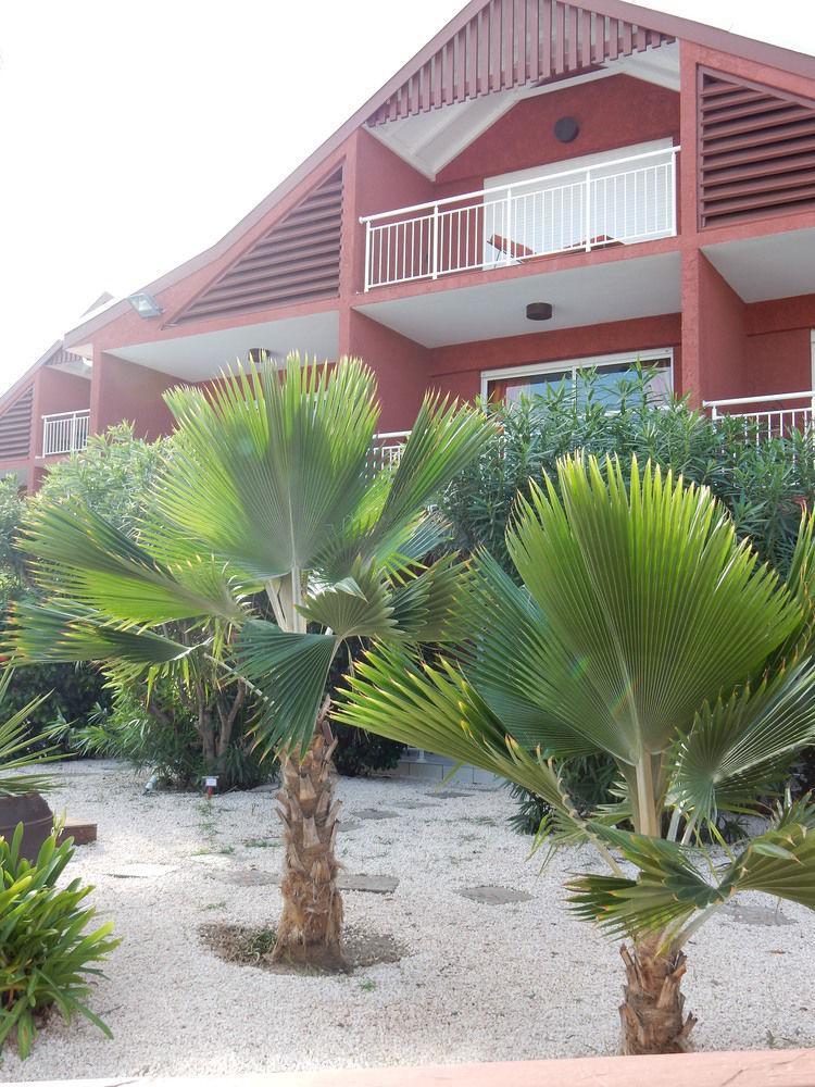 Orient Bay Palm Court 4 Stars Hotel