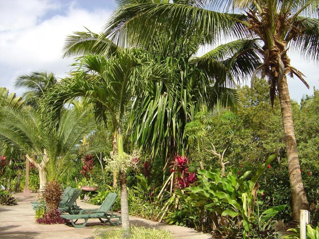 Resort Sunset Bay Club & Seaside Dive 3*