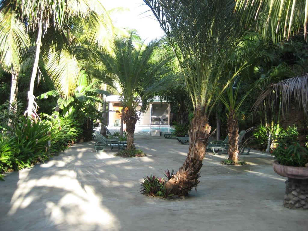 Sunset Bay Club & Seaside Dive Resort 3*