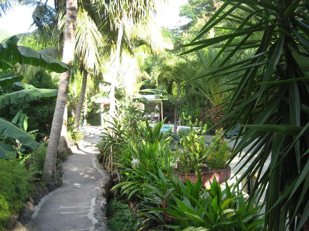 Sunset Bay Club & Seaside Dive Resort 3*