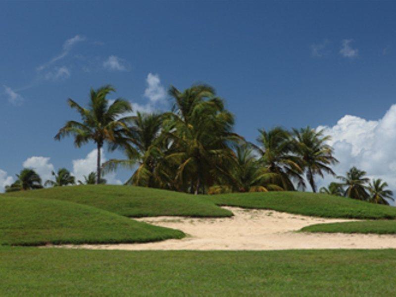 Bwa Chik & Golf