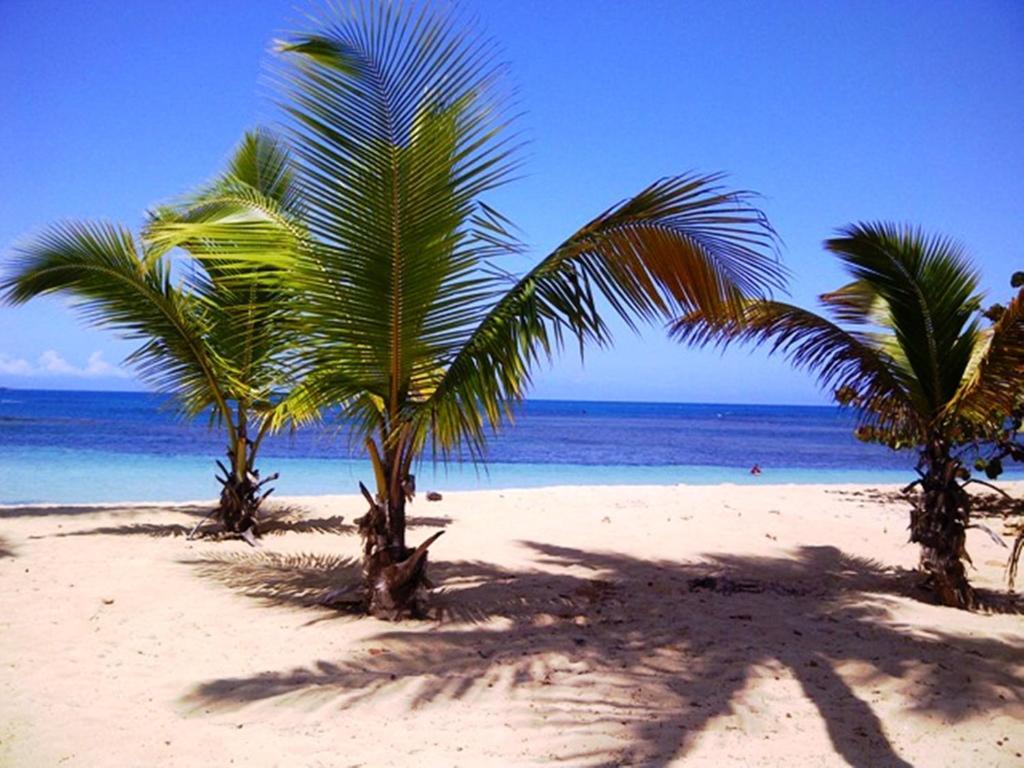 Caraibirent *