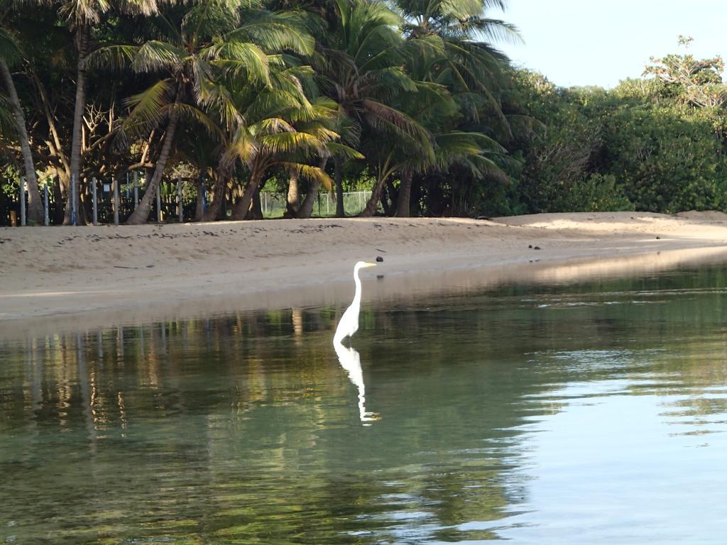 Ababor Suites Vieques