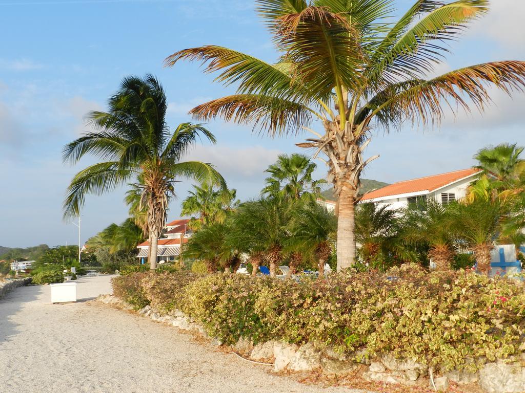 Apartment Marazul Ocean Front