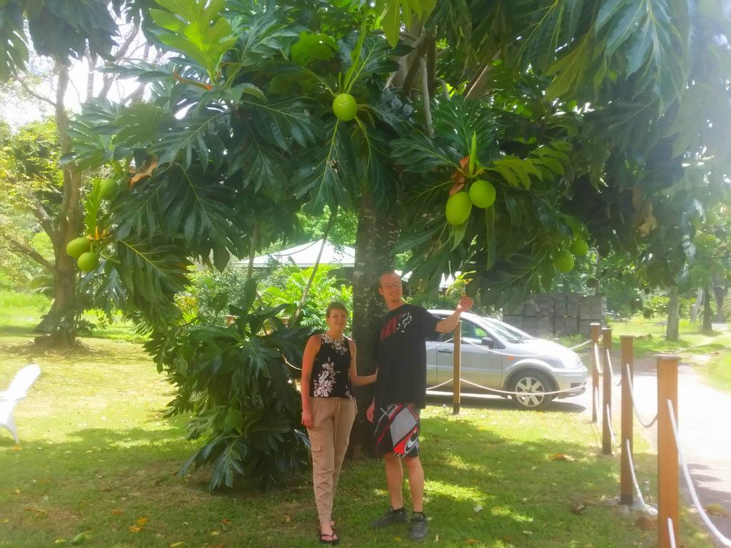 Papaye