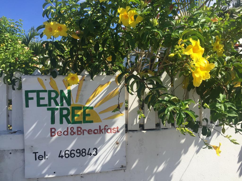 Fern Tree Frigate Bay