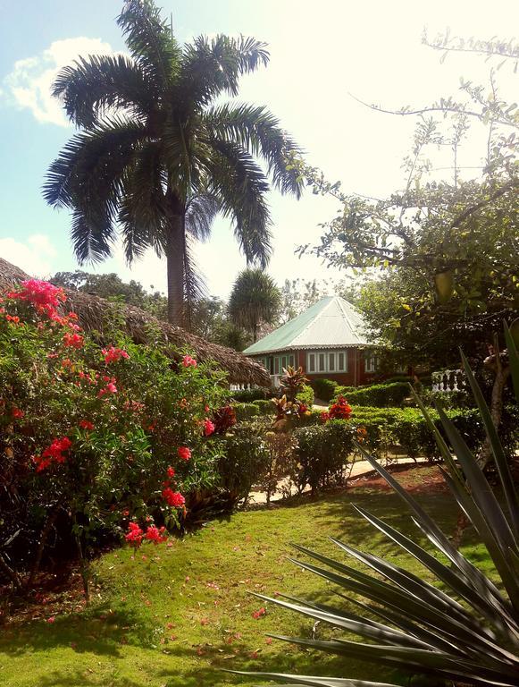 Puertas Del Paraiso 3*