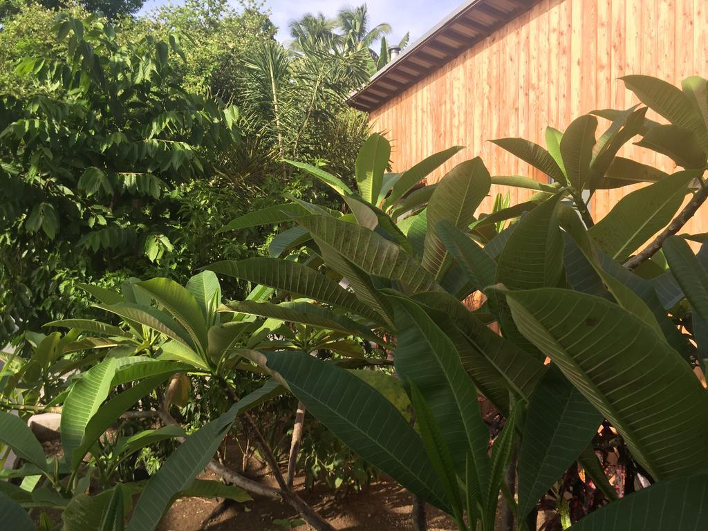 Casa de hóspedes La Nou Cinq Le Gosier (Grande-Terre)