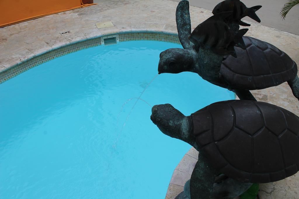Turtle Bay La Parguera