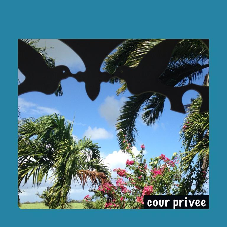 Guest house La Maison Calebasse Saint-Francois (Grande-Terre)