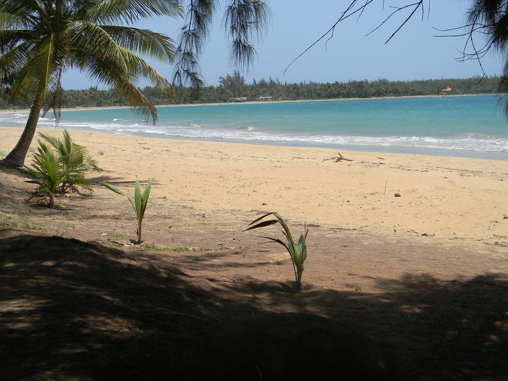 Continental Beach 2 Rio Grande