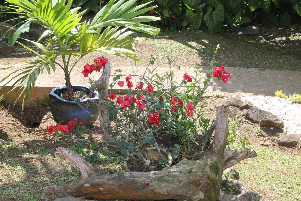 Holiday home Villasticreole