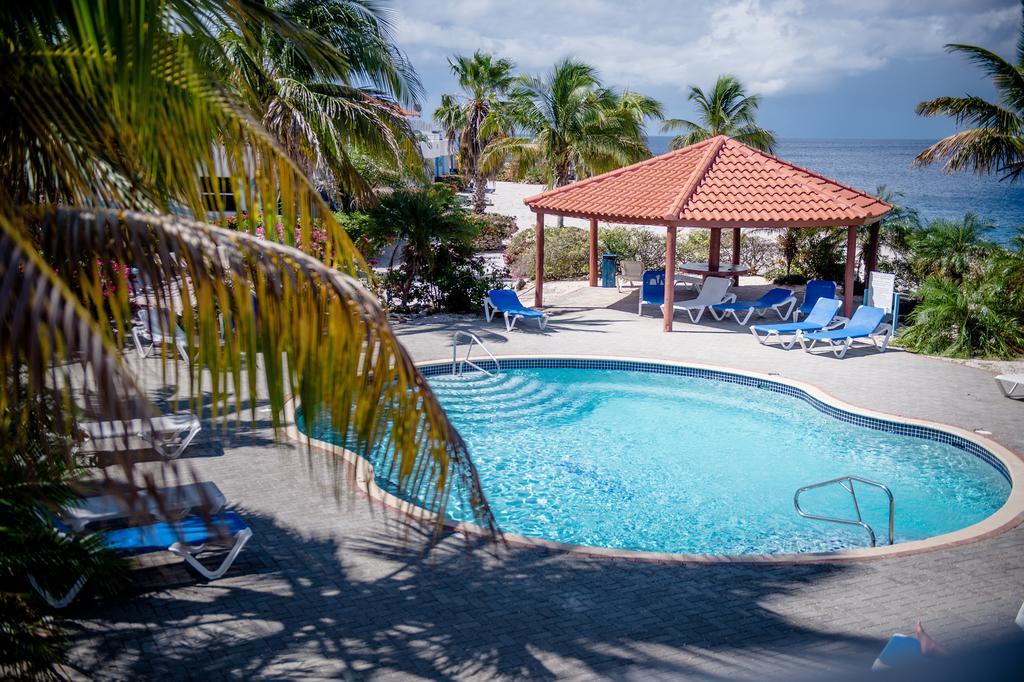 Marazul Ocean Front
