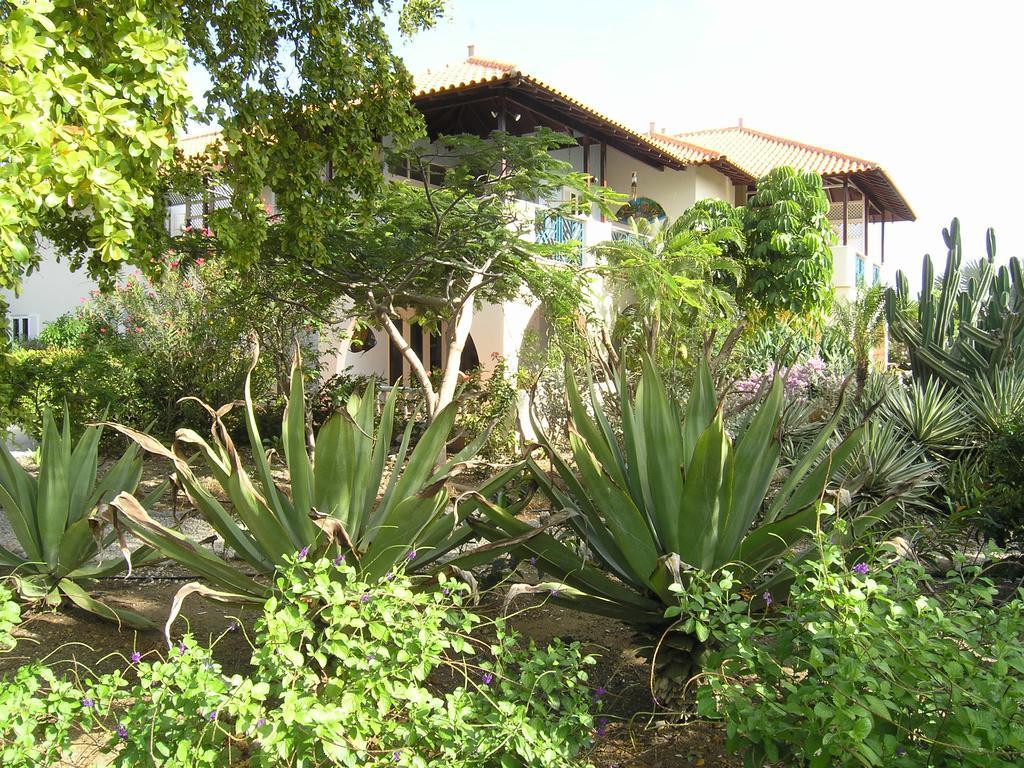 1 And 5 In Windsock Apartment Bonaire