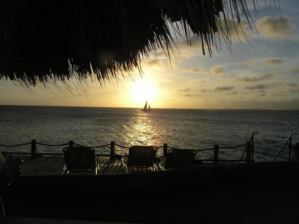 1 And 5 In Windsock Bonaire