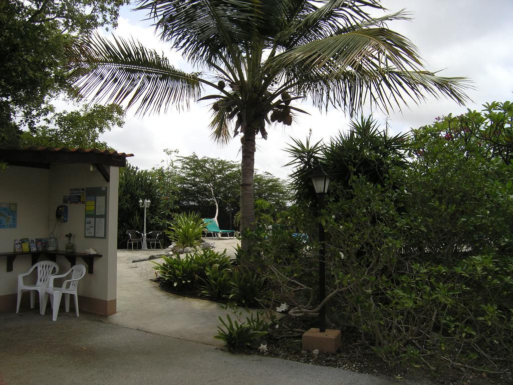 1 And 5 In Windsock * Bonaire