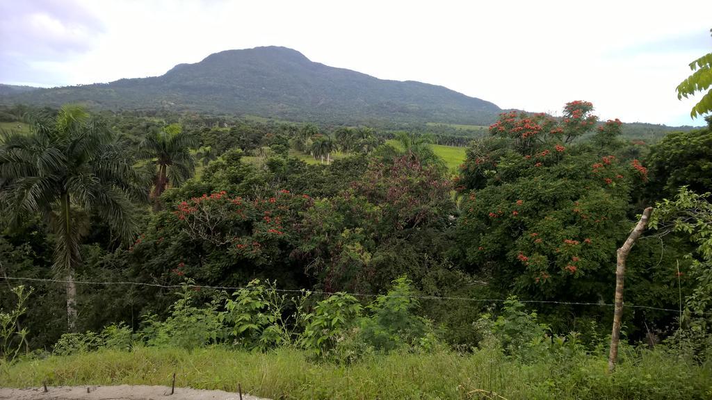 Real Dominican Republic Discovery
