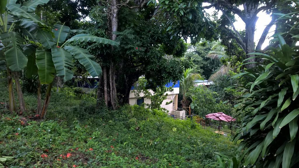 Real Dominican Republic Discovery *