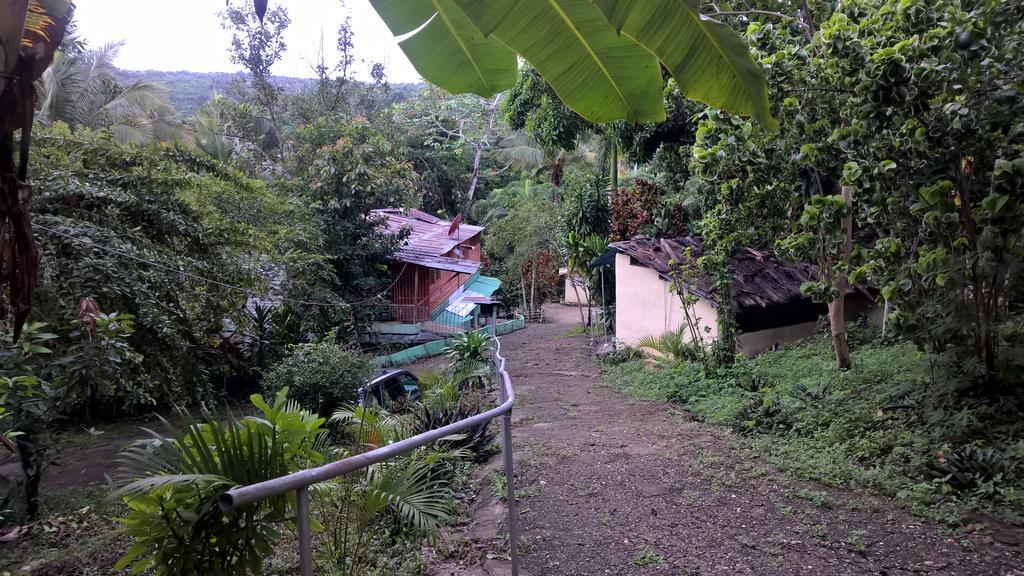 Real Dominican Republic Discovery Bed & Breakfast *