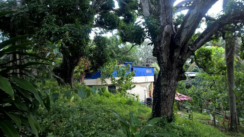 Bed & Breakfast Real Dominican Republic Discovery Puerto Plata