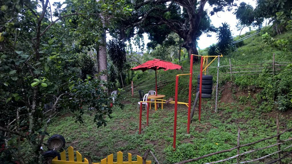Real Dominican Republic Discovery Bed & Breakfast *