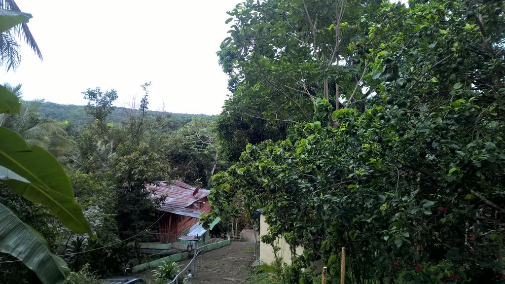 Real Dominican Republic Discovery Puerto Plata