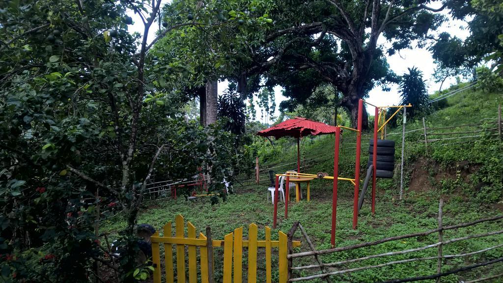 Real Dominican Republic Discovery Bed & Breakfast Puerto Plata