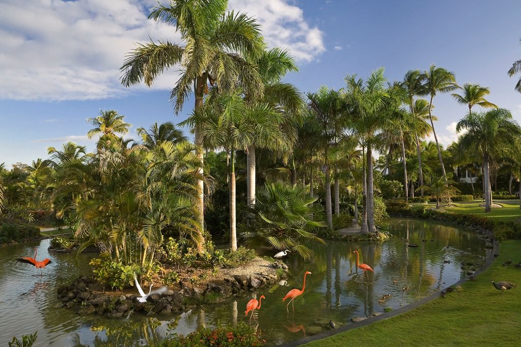 Resort Melia Caribe Tropical All Inclusive (adults Only) Punta Cana