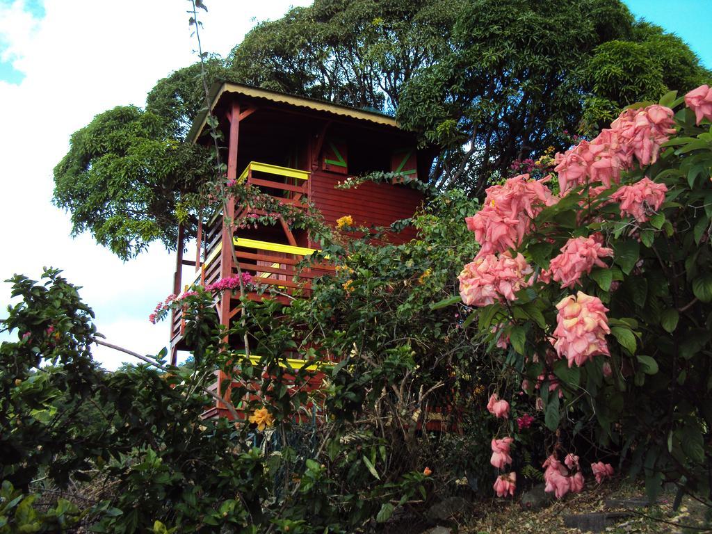 Holiday home Guadeloupe-paradisio