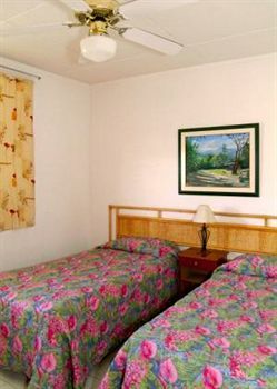 Apartamento Adulo *