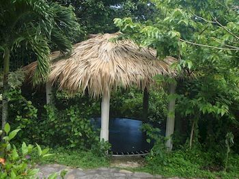 Hotel Jurassic Park 2*