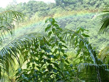 Hibiscus Valley Pensão