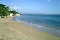 Hotel Lemontree Oceanfront Cottages Rincon