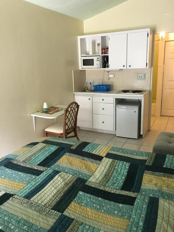 Eldemire's Tropical Island Inn George Town