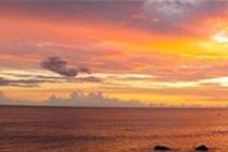 Lemontree Oceanfront Cottages Hotel Rincon