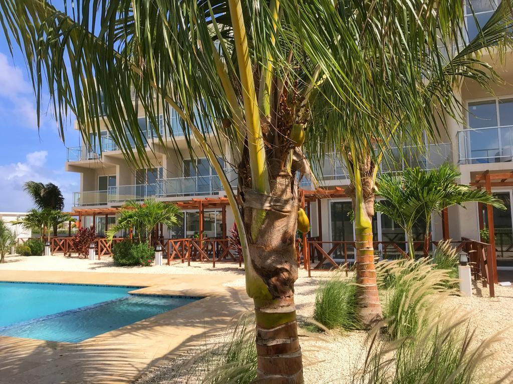 Apartment Large Luxury On Palm