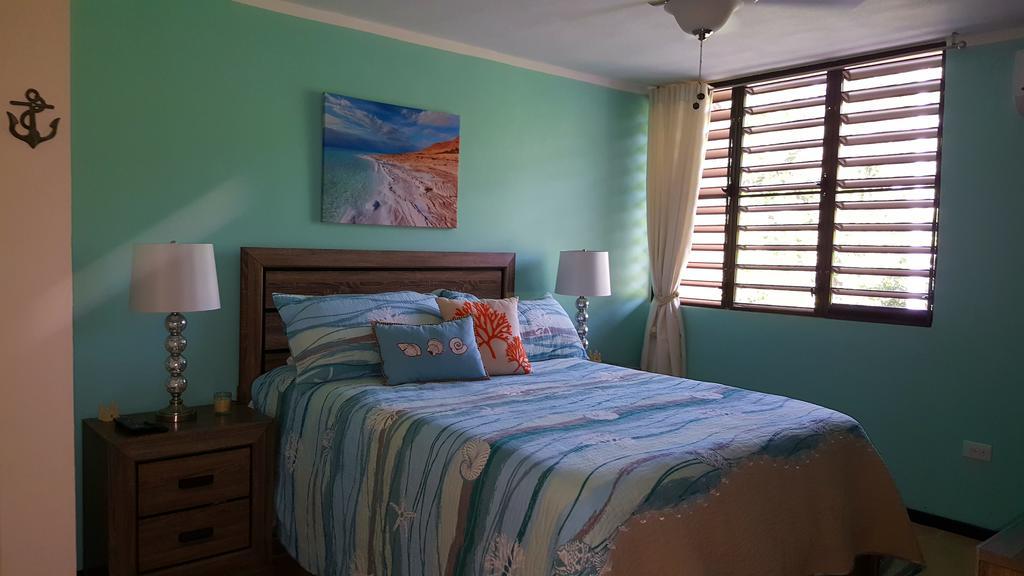 Fully Air-conditioned Front Penthouse * Naguabo
