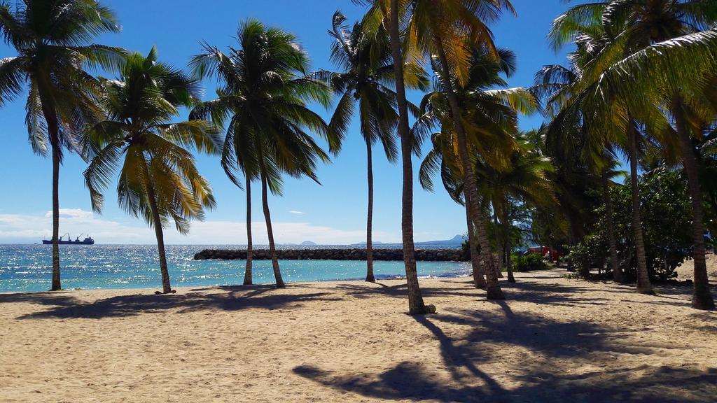 Apartment Studio Bleu Caraibe