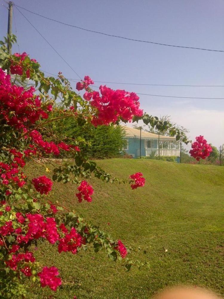 Firefly Villa Canefield