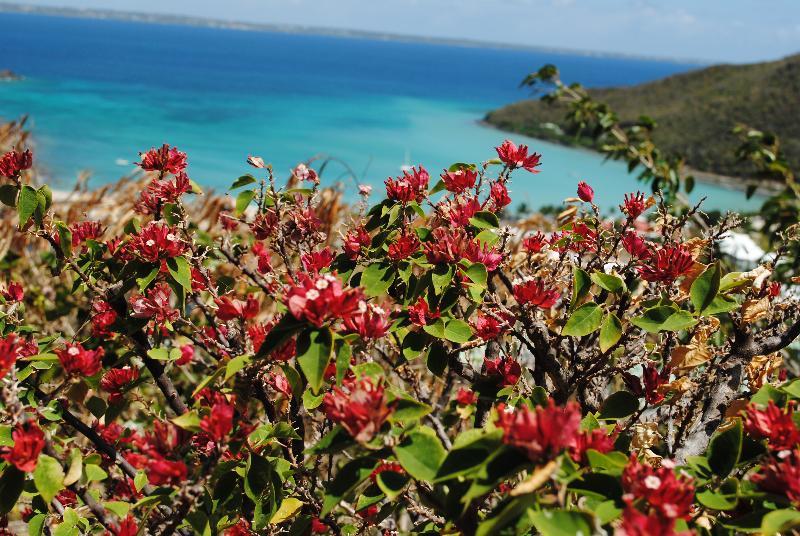 Marquis Boutique Anse Marcel